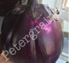 Eggplant Aubergina Helios